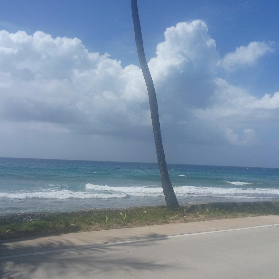 Apartahotel Miramar San Andres  Bilik gambar